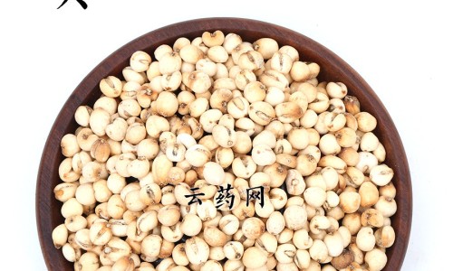 【沙坦的作用】啥沙坦胶囊说明书 - 解沙坦说明书网